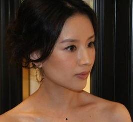 董洁娱乐爆料事件视频,揭秘娱乐圈背后真相  第2张