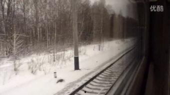 雪国列车 在线观看,末世列车生存之旅 第1张 雪国列车 在线观看,末世列车生存之旅 第1张