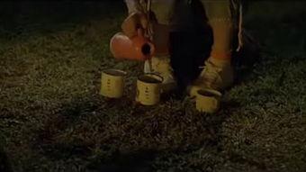 阿根廷夏威夷在线观看,在线畅游南美风情与热带魅力的云端之旅 第2张 阿根廷夏威夷在线观看,在线畅游南美风情与热带魅力的云端之旅 第2张