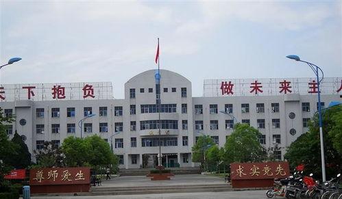 新河中学爆料新闻事件,揭秘校园内幕引发社会关注  第1张